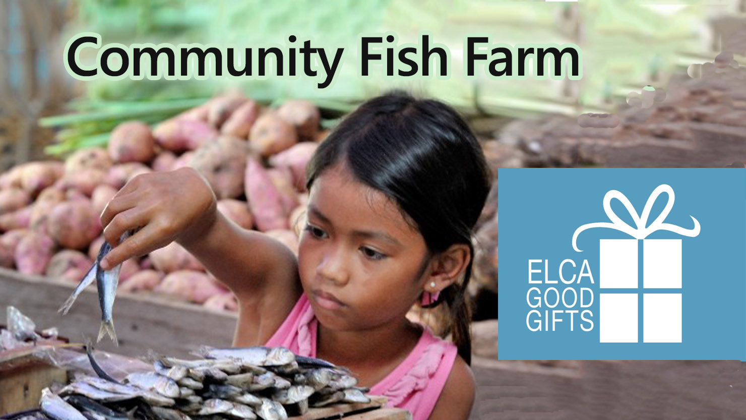 Good Gifts Fish General